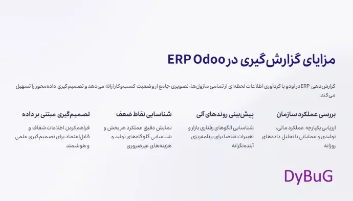 انواع گزارشات ERP چیست؟ نحوه گزارش دهی ERP سازمانی دیباگ