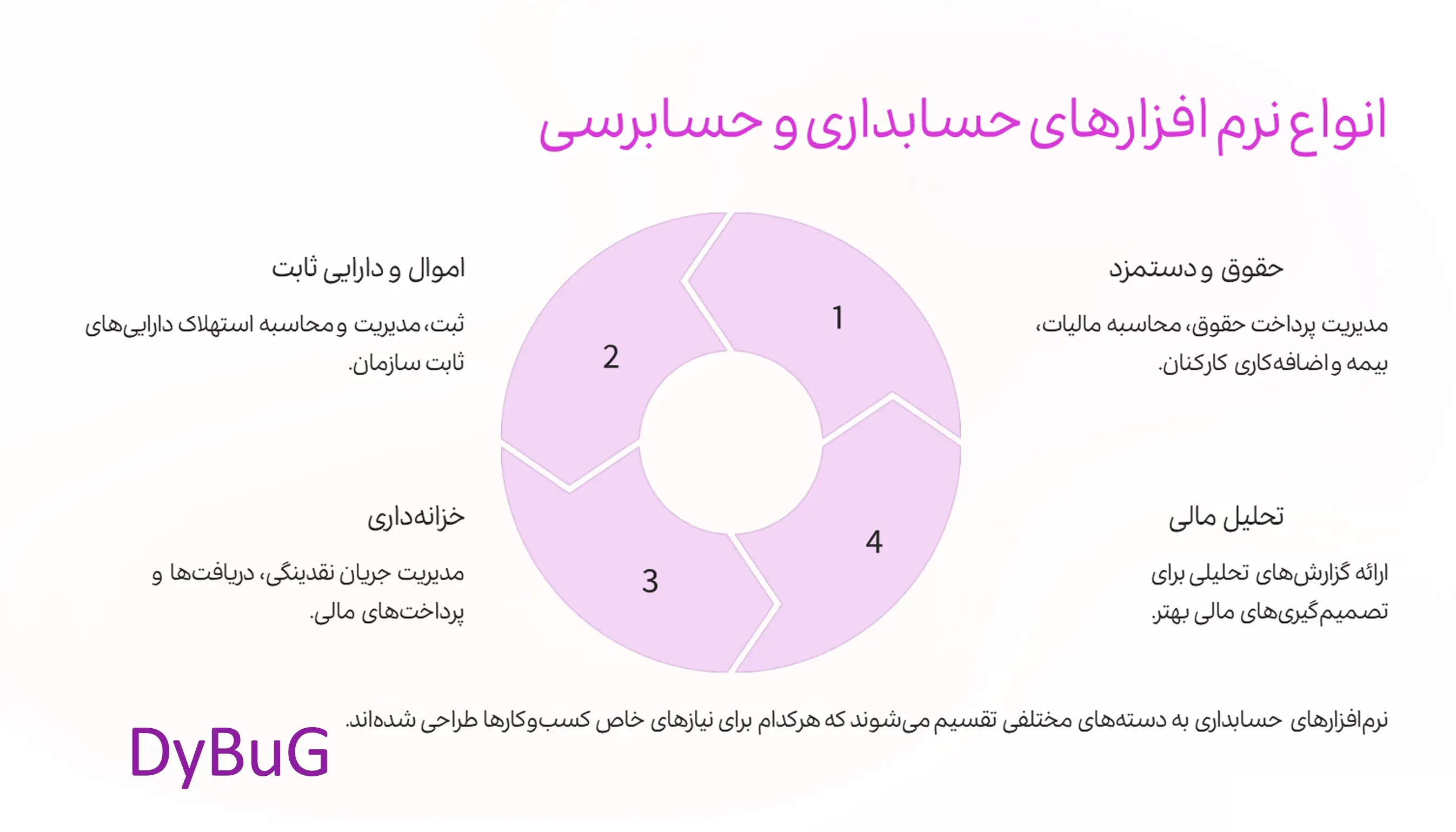 انواع نرمافزارهای حسابداری | دیباگ