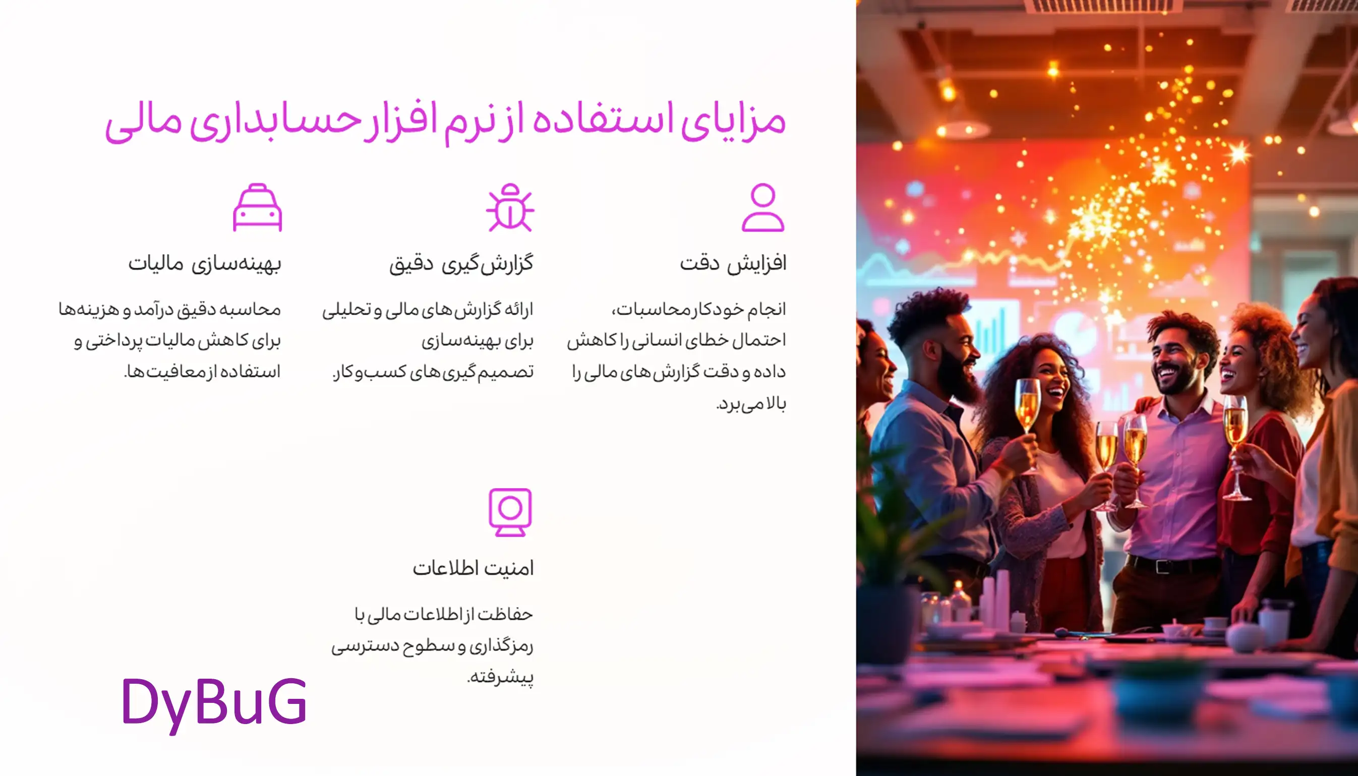 کاربرد نرمافزار حسابداری | دیباگ