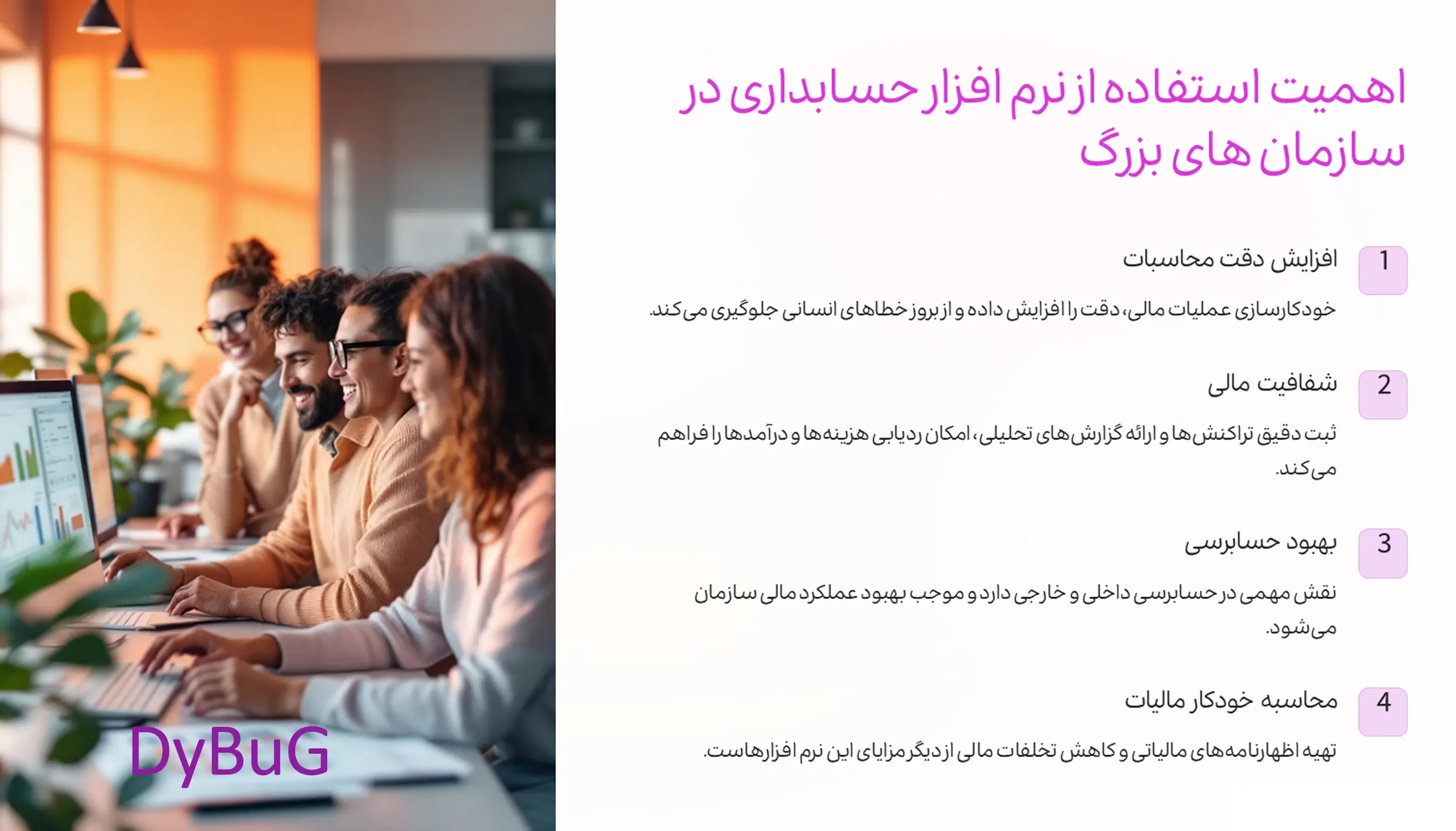 نرمافزارهای حسابداری چیست | دیباگ