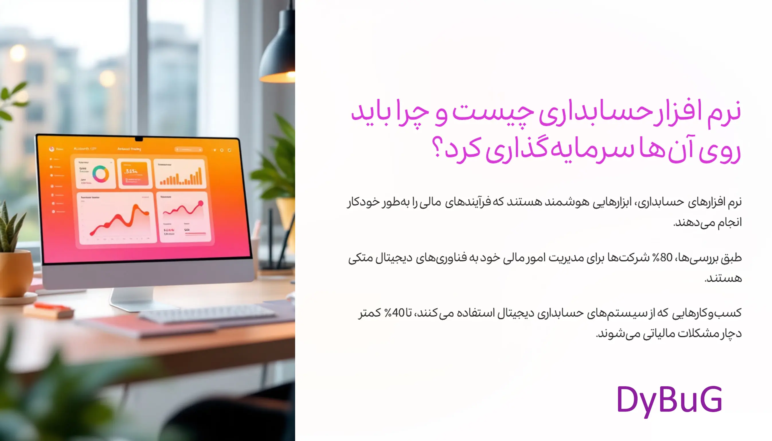 نرمافزار حسابداری چیست | دیباگ