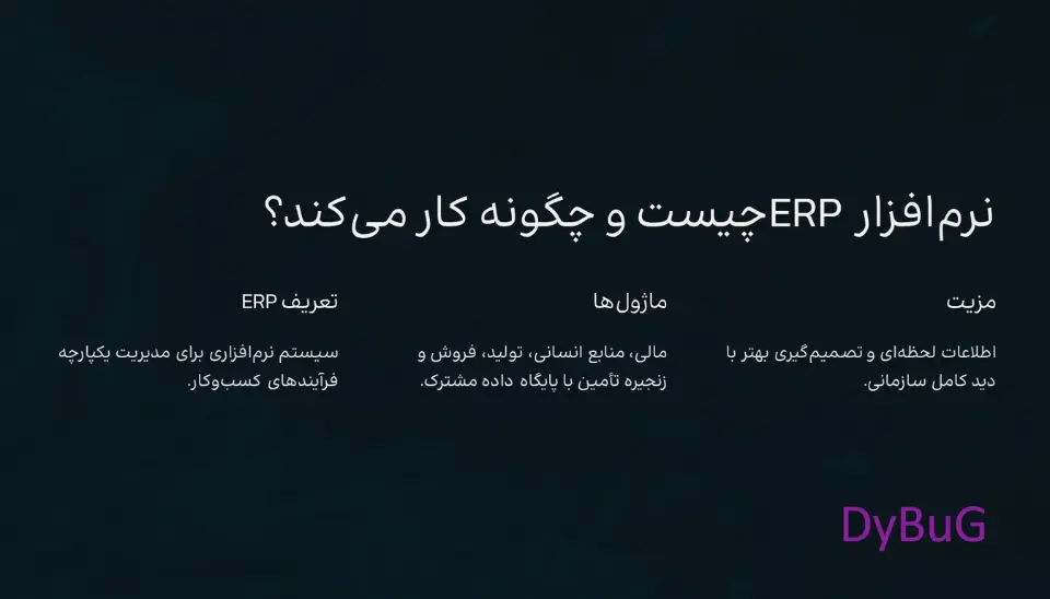 اهمیت نرم افزار ERP | دیباگ