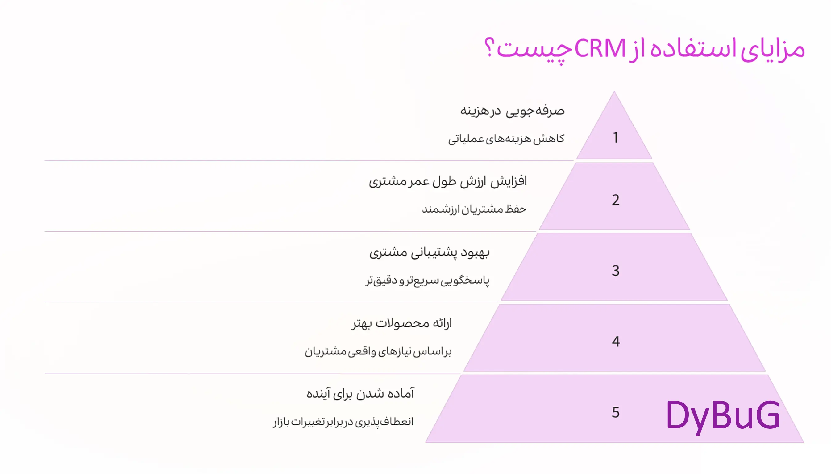 معرفی نرم‌افزار CRM | دیباگ
