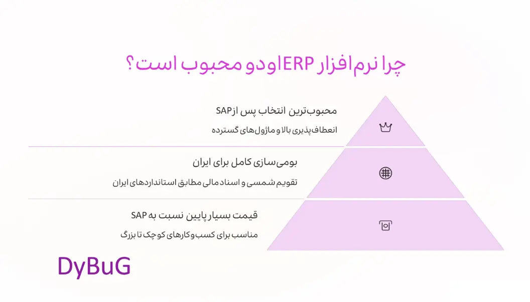 نرم افزار یکپارچه erp اودو | دیباگ