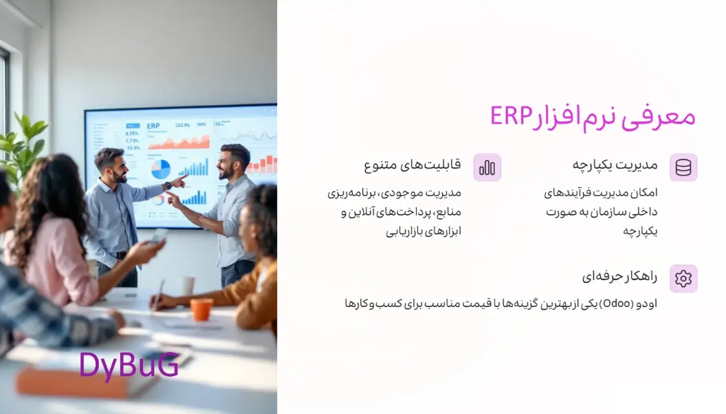 خرید نرم افزار ERP | دیباگ